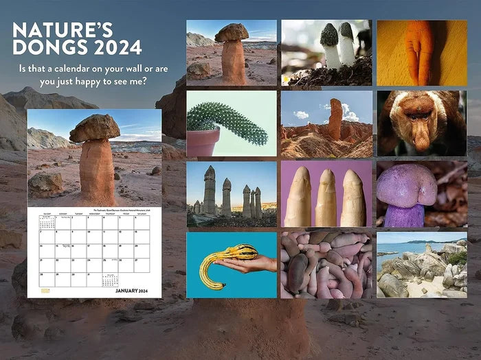 🤣Funniest Calendar Of The Century | 2024 Nature Funny Adult Shaped Pics Calendar