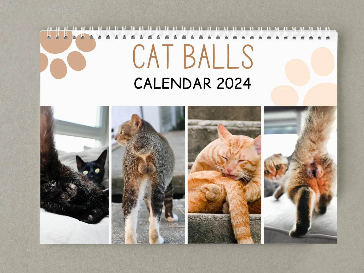 🎅🎁Funniest Christmas Gift Of The Century--🤣Funny Cat Calendar 2024
