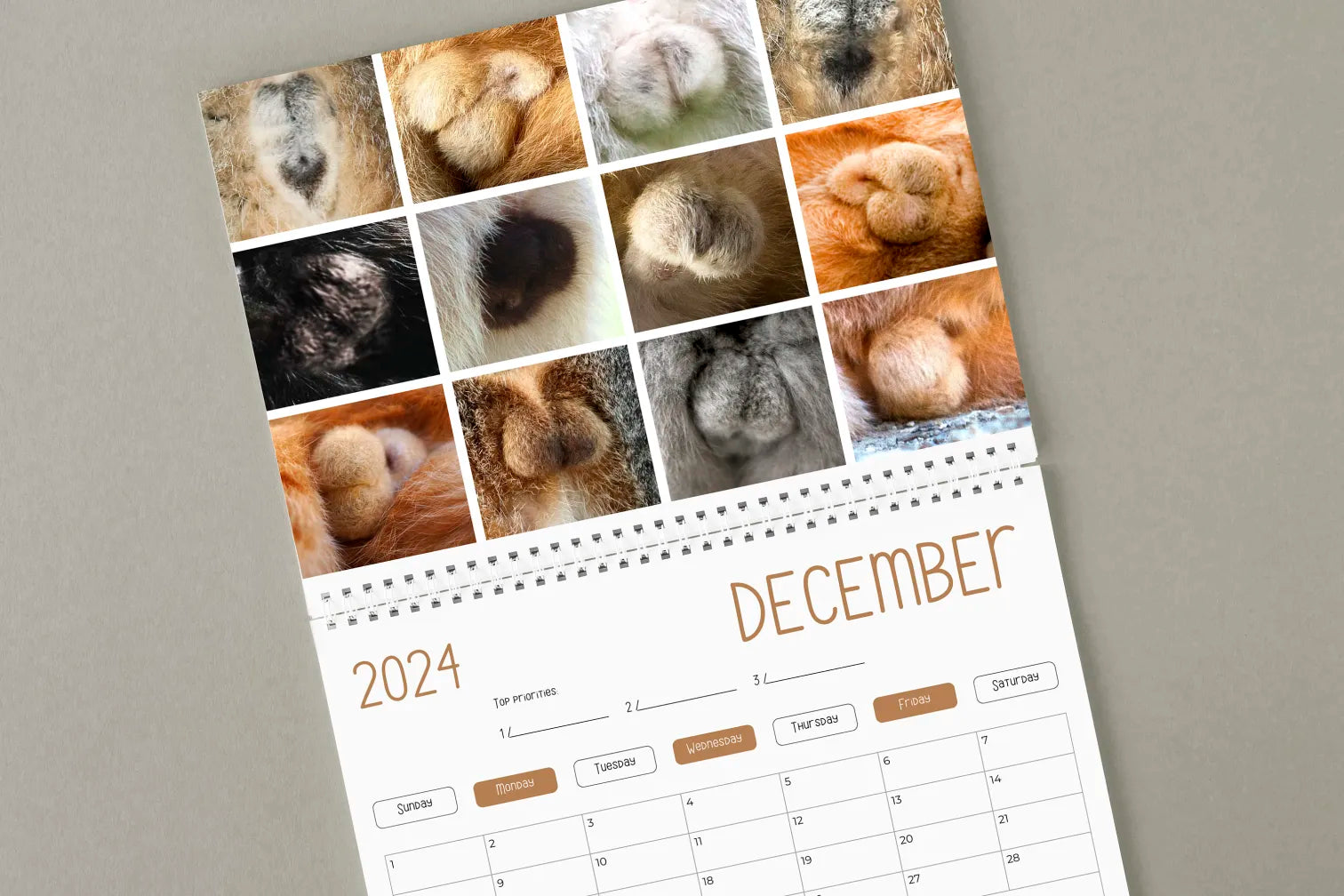 🎅🎁Funniest Christmas Gift Of The Century--🤣Funny Cat Calendar 2024